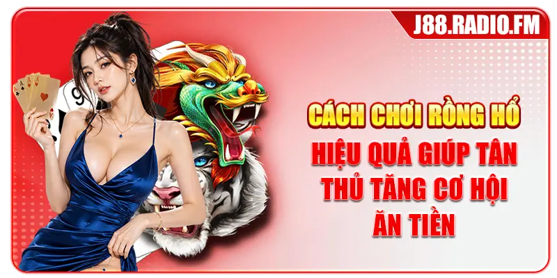 Cách Chơi Rồng Hổ Hiệu Quả Giúp Tân Thủ Tăng Cơ Hội Ăn Tiền