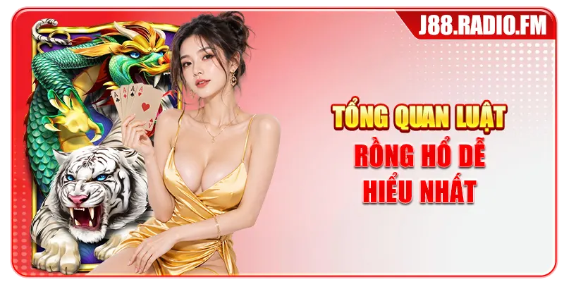 Tổng quan luật rồng hổ dễ hiểu nhất